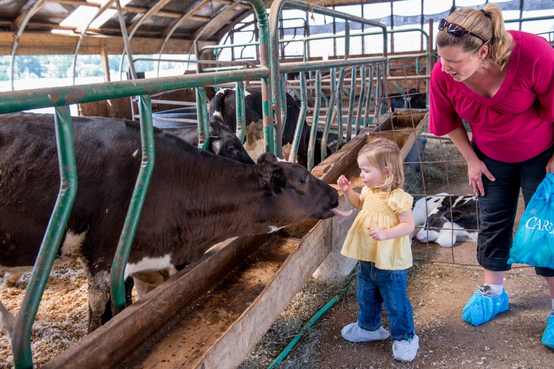 breakfastfarm_114408